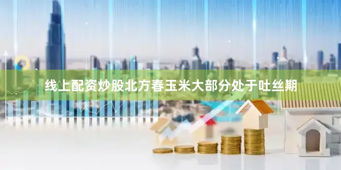线上配资炒股北方春玉米大部分处于吐丝期