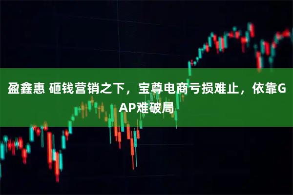盈鑫惠 砸钱营销之下，宝尊电商亏损难止，依靠GAP难破局